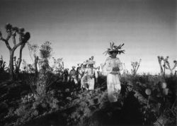 echevarra